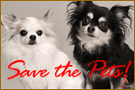 Save the Pets.jpg